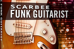 Vente avec paiement en ligne: Scarbee Funk Guitarist
