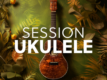 Vente avec paiement en ligne: Session Ukulele