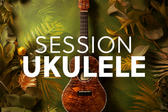 Vente avec paiement en ligne: Session Ukulele